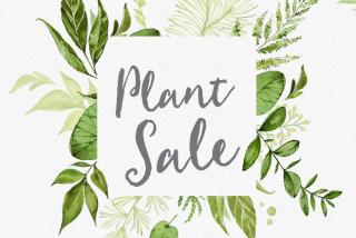 plant sale 